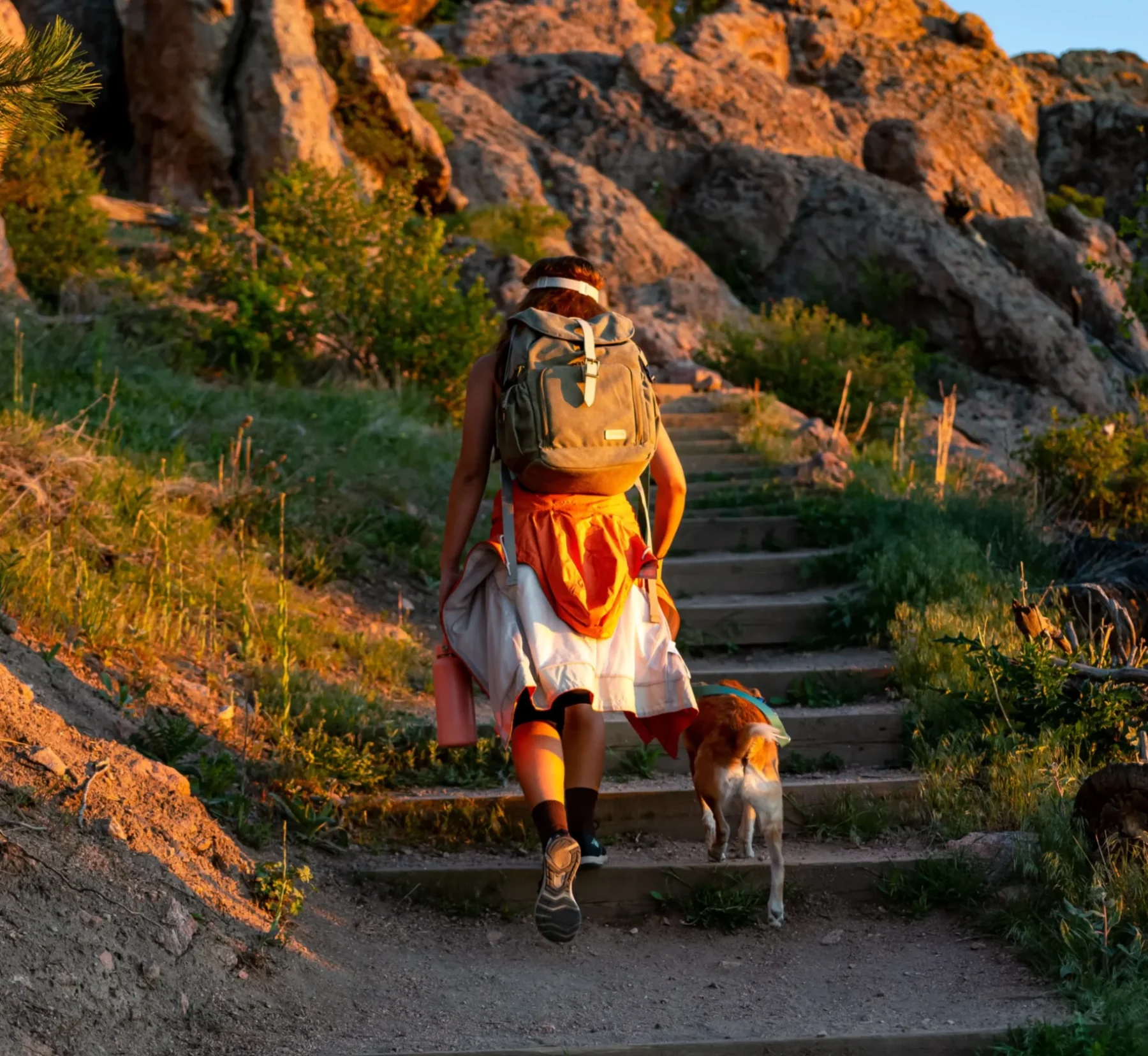 Woman hiking with a dog through the hills